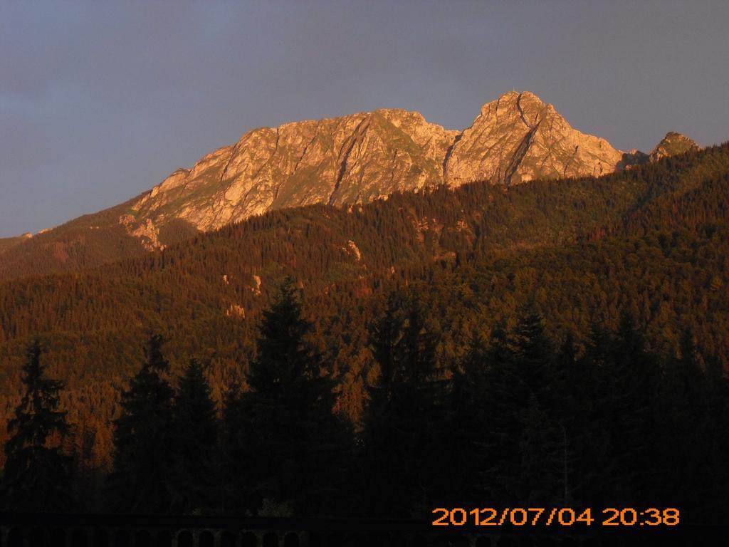 Siwarna Natura Tour Hotel Zakopane Eksteriør billede